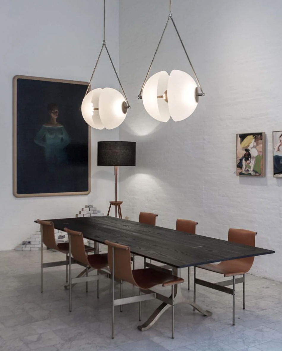 Synapse style Pendant Light Apparatus